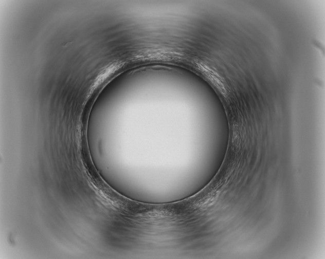 X0000096450578200802071814