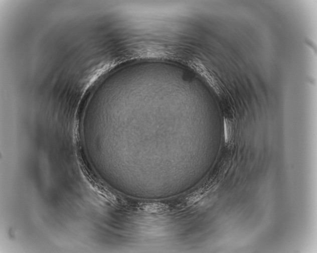 X0000096450579200802071813