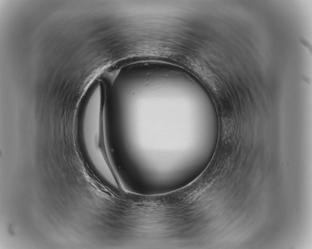 X0000096450580200802071813