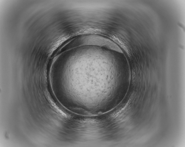 X0000096450581200802071813