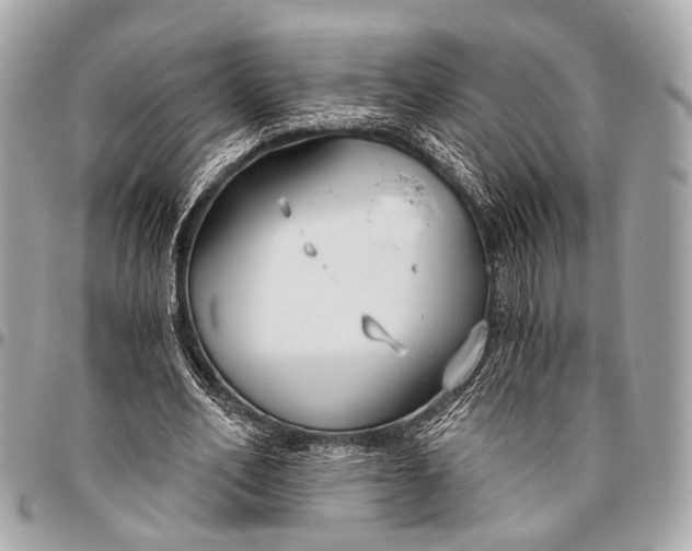 X0000096450582200802071813