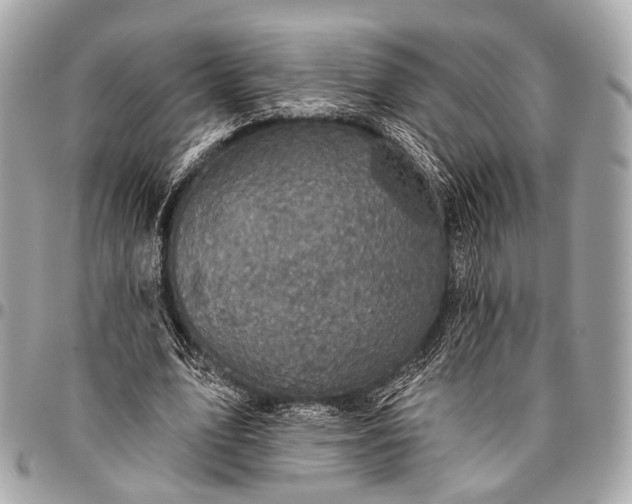 X0000096450583200802071813