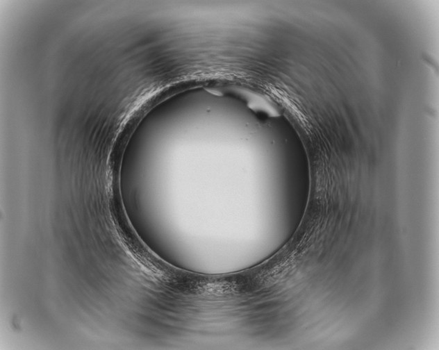 X0000096450584200802071813