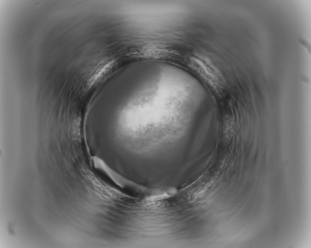 X0000096450585200802071813