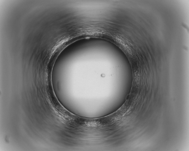 X0000096450587200802071813