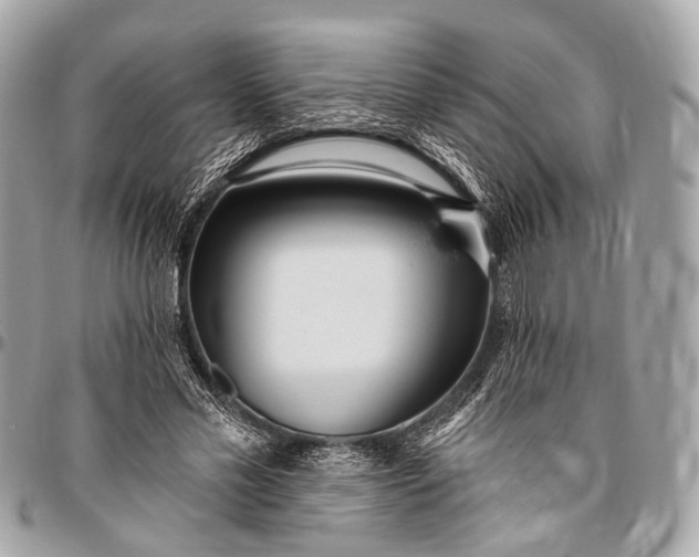 X0000096450589200802071813