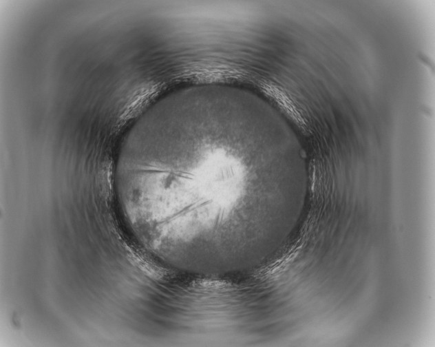 X0000096450590200802071813