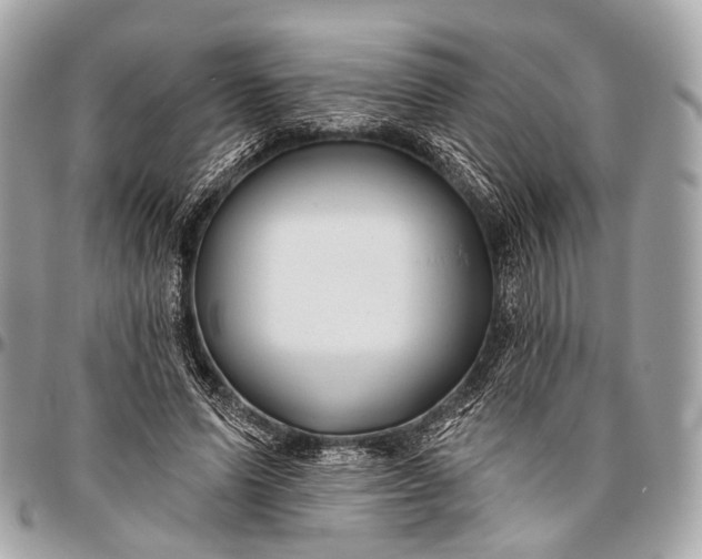 X0000096450591200802071813