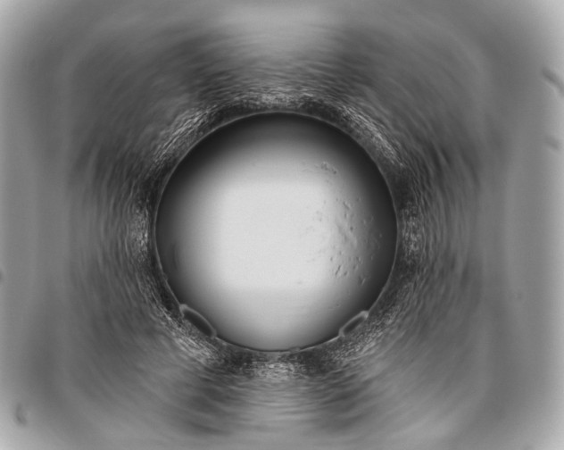 X0000096450593200802071813