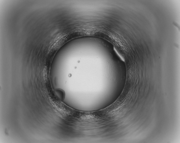 X0000096450594200802071813