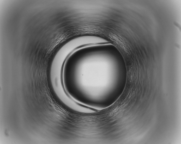 X0000096450595200802071813