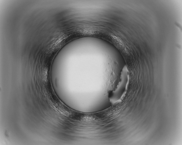 X0000096450596200802071813