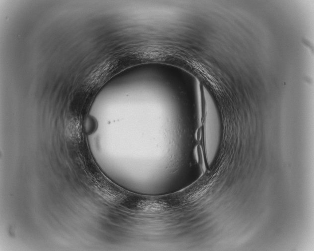 X0000096450597200802071813