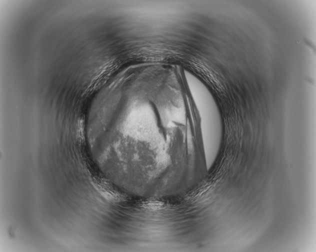 X0000096450598200802071813