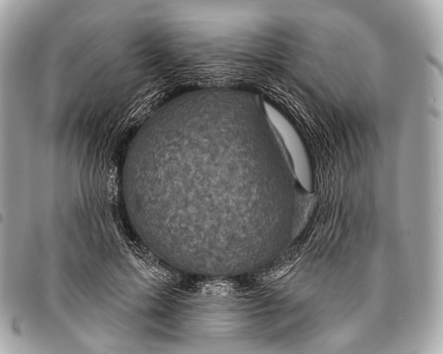 X0000096450599200802071813