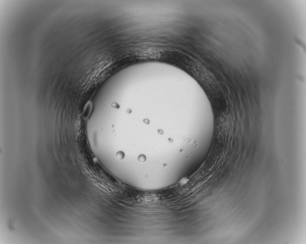 X0000096450600200802071813