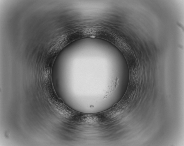 X0000096450601200802071813