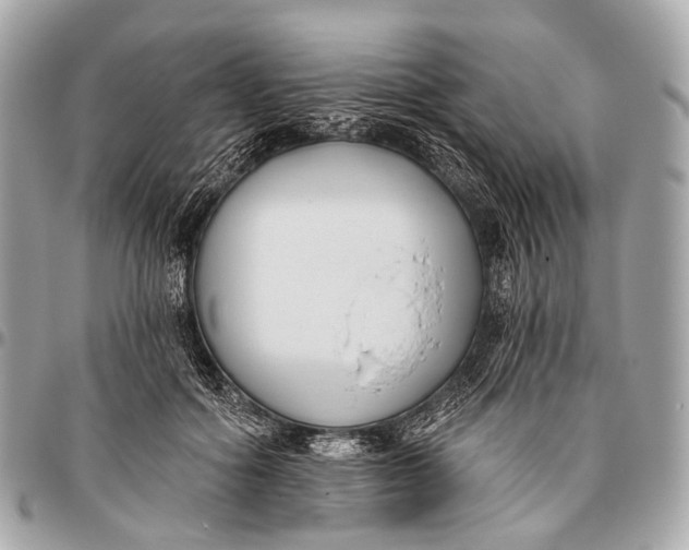 X0000096450602200802071813