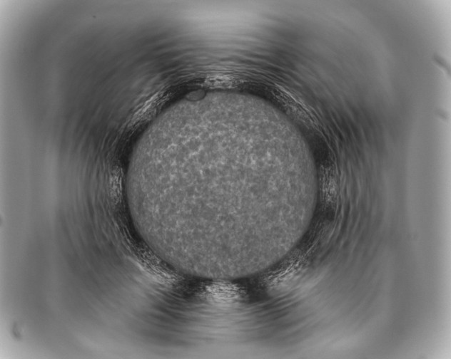 X0000096450603200802071813