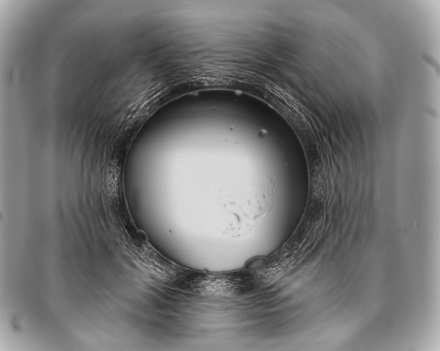 X0000096450604200802071813