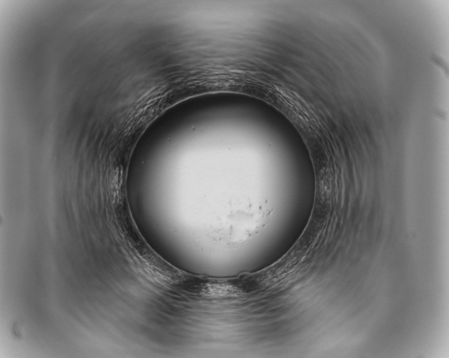 X0000096450605200802071813