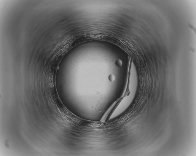 X0000096450606200802071813