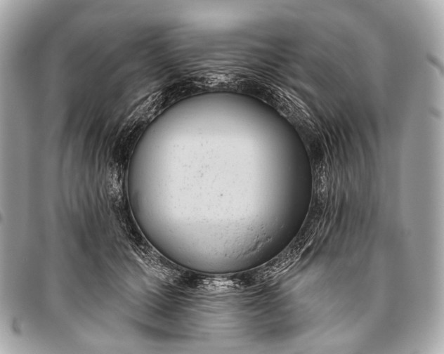 X0000096450607200802071813