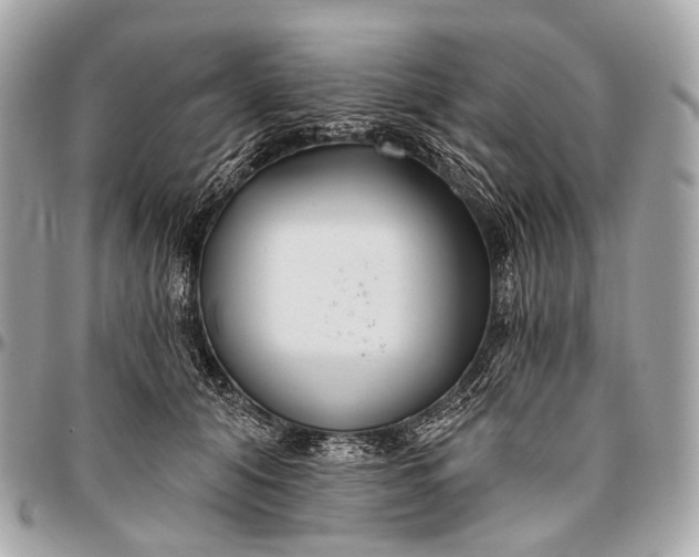 X0000096450608200802071813