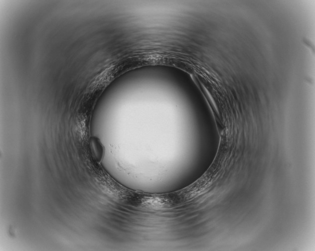 X0000096450611200802071813