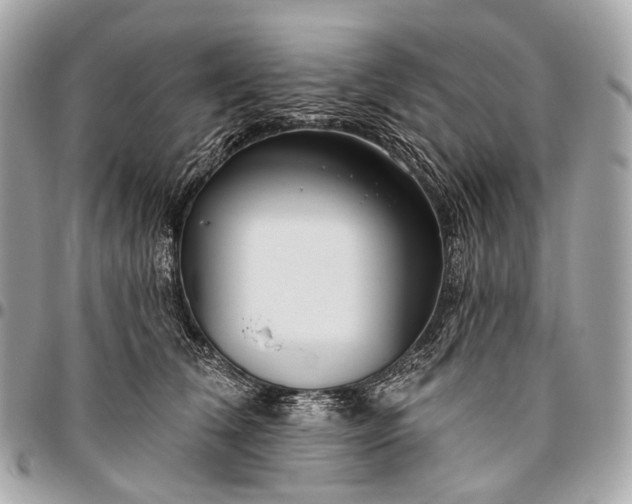 X0000096450612200802071813