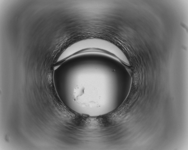 X0000096450613200802071813