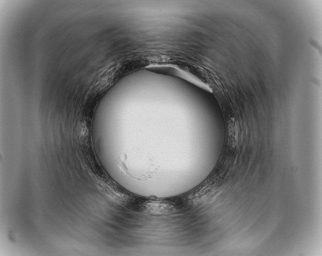 X0000096450614200802071813