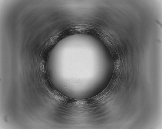 X0000096450615200802071813