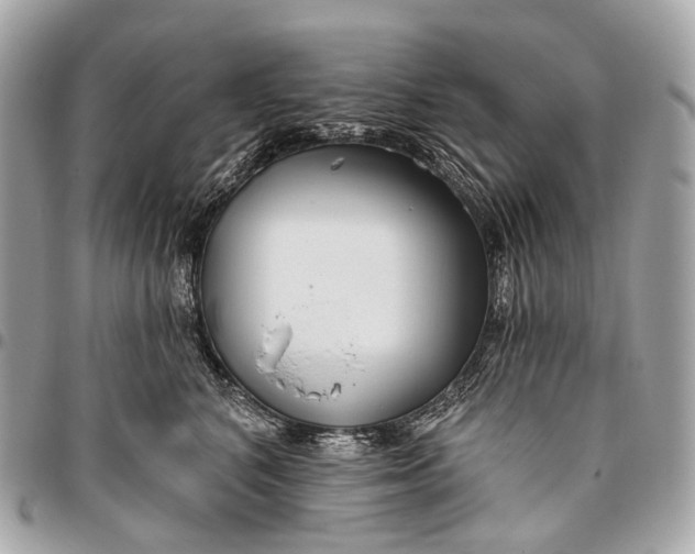 X0000096450616200802071813