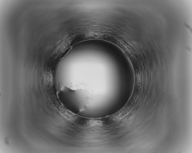 X0000096450617200802071813