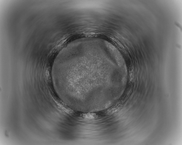 X0000096450618200802071813