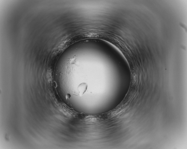 X0000096450620200802071813