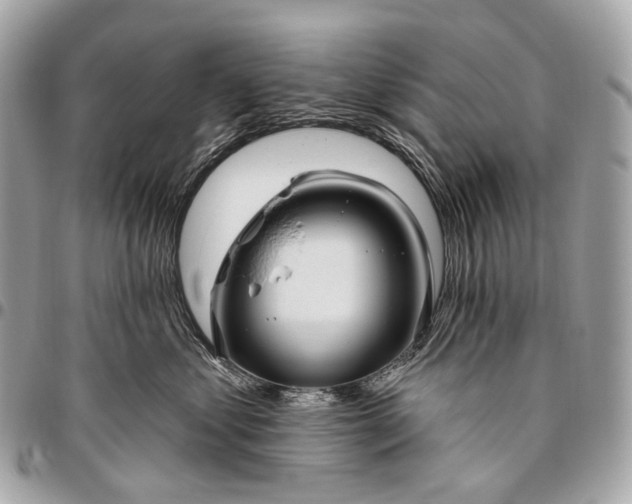 X0000096450621200802071813