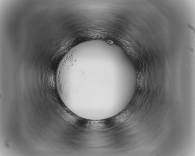 X0000096450622200802071813