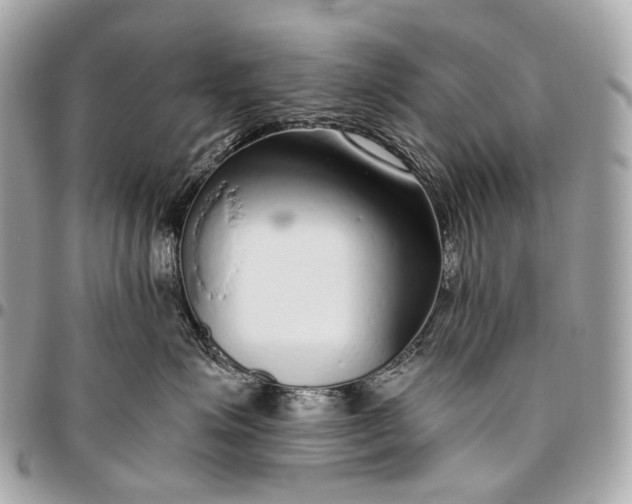 X0000096450623200802071813