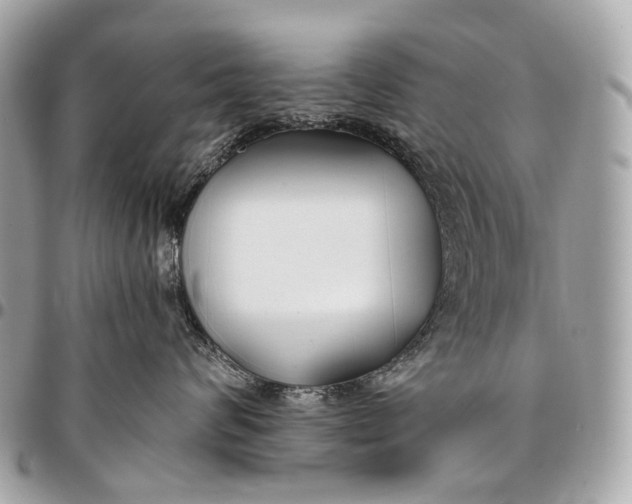 X0000096450624200802071813