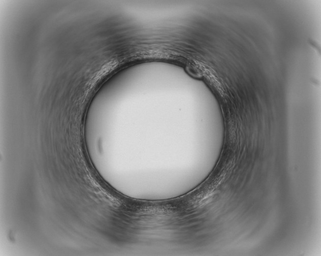 X0000096450625200802071812