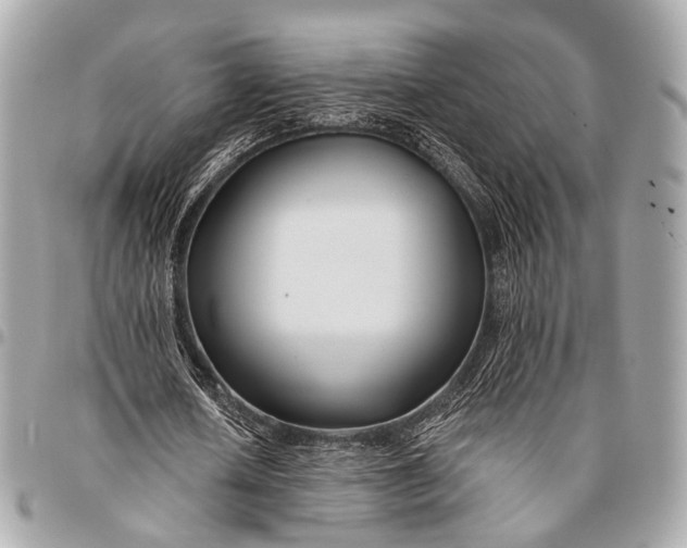 X0000096450626200802071812