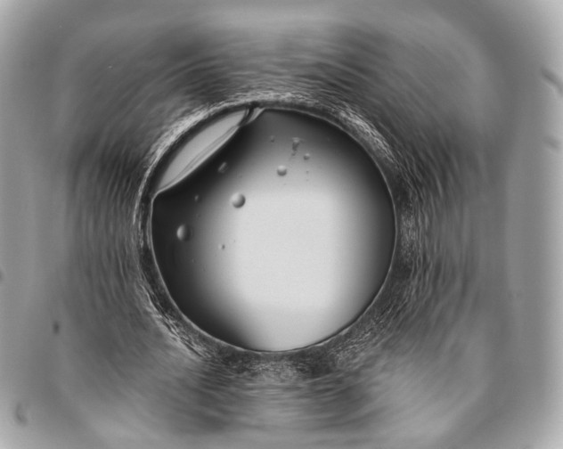 X0000096450628200802071812