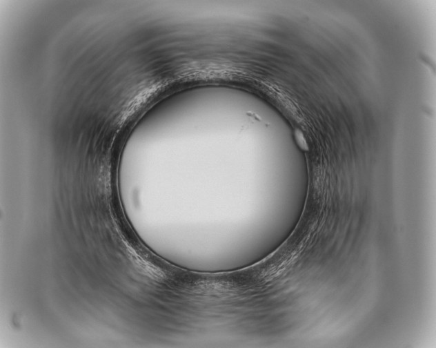 X0000096450629200802071812