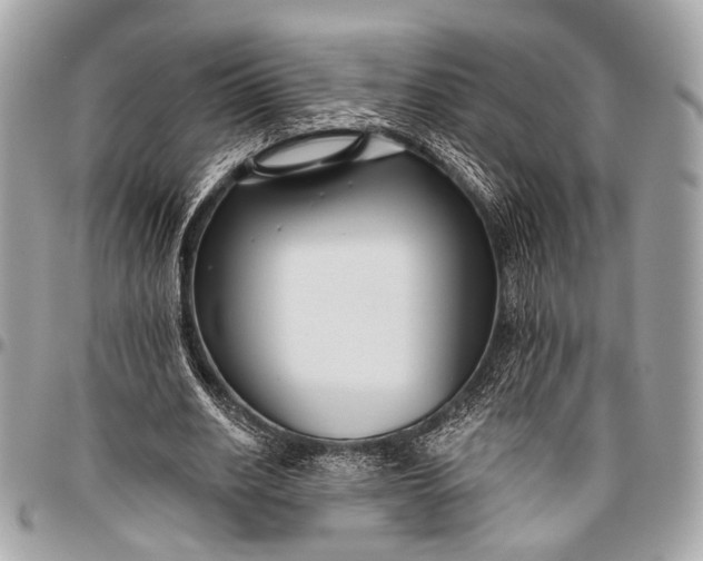 X0000096450630200802071812