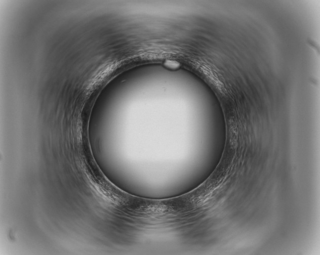 X0000096450631200802071812