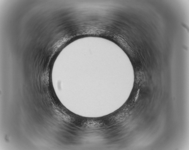 X0000096450632200802071812