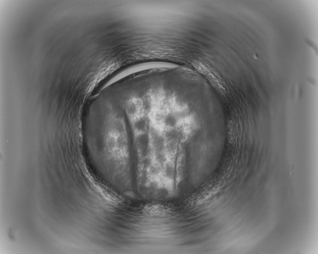 X0000096450634200802071812