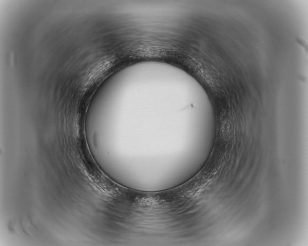 X0000096450635200802071812